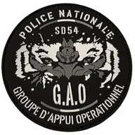 GAO 54