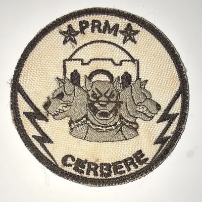 2ème Régiment de Hussards, Barkhane, Détachement Cerbere, 2ème Escadron 
