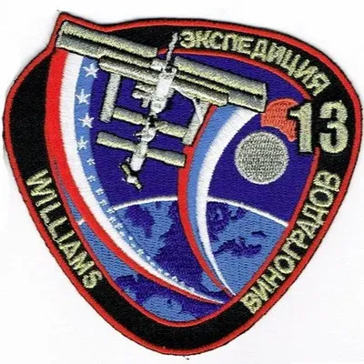 ISS-13 Vinogradov