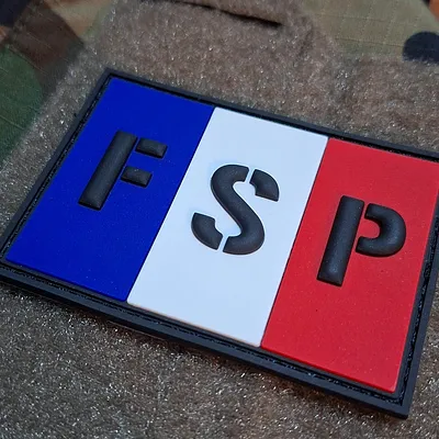 FSP GIGN