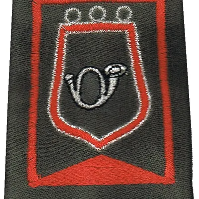 Passant d'épaule du Groupe d'Escadrons 2ème Régiment de Chasseurs - 2ème Escadron (V2)