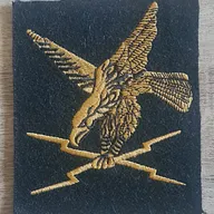 44e RT / Brevet de Guerre Électronique 