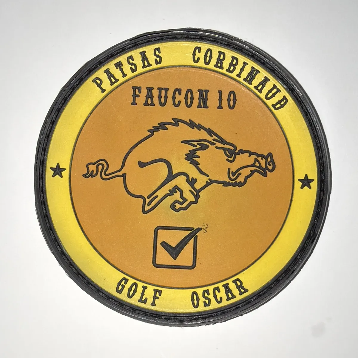 2ème Régiment de Hussards, Opération Barkhane, détachement Faucon 10