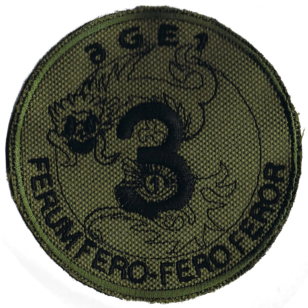 Groupe d'escadrons 1er Régiment de Chasseurs - 3ème Escadron (BV)
