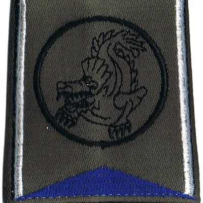 Passant d'épaule du Groupe d'Escadrons 1er Régiment de Chasseurs - Escadron de Commandement et de Logistique (V1)