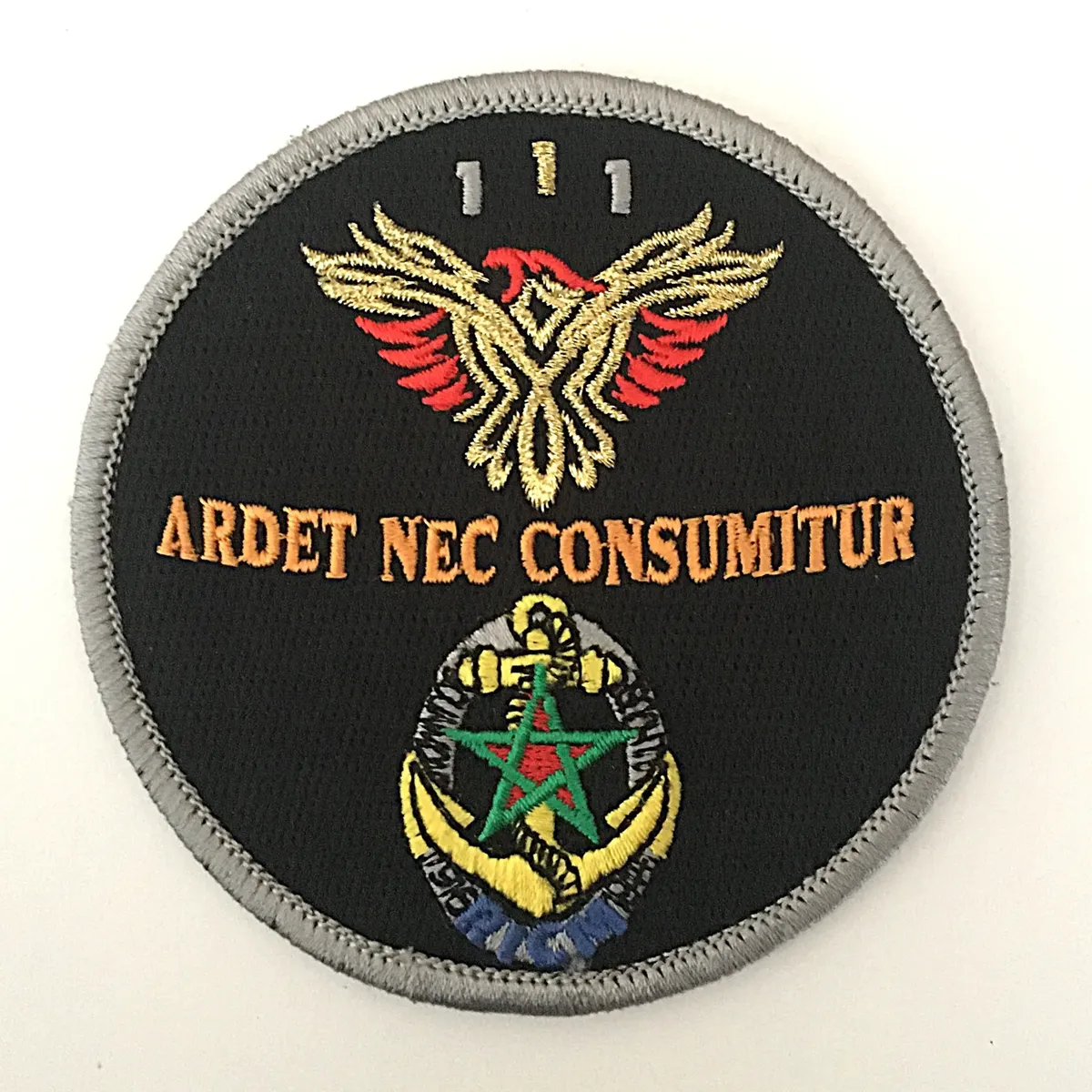 Régiment d'Infanterie Chars de Marine - 1er Escadron