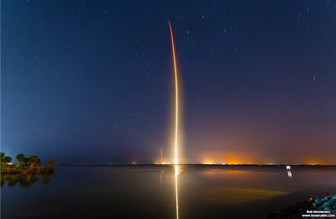 Dragon Freedom - 2