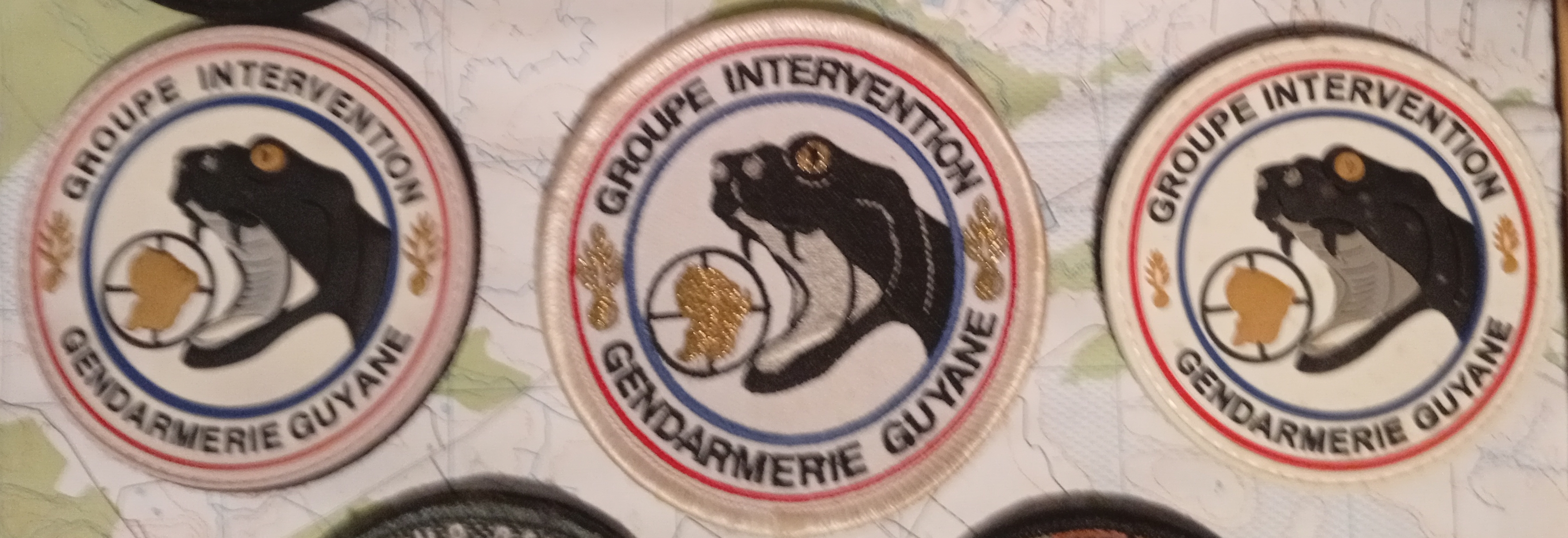 Groupe Intervention Guyane - 2