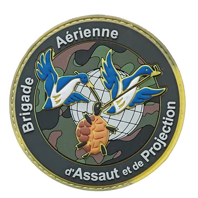 Brigade Aérienne d'Assaut et de Projection