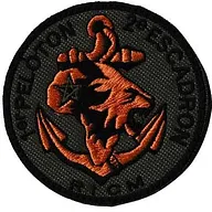 Régiment d'Infanterie Chars de Marine - 2ème Escadron - 1er Peloton
