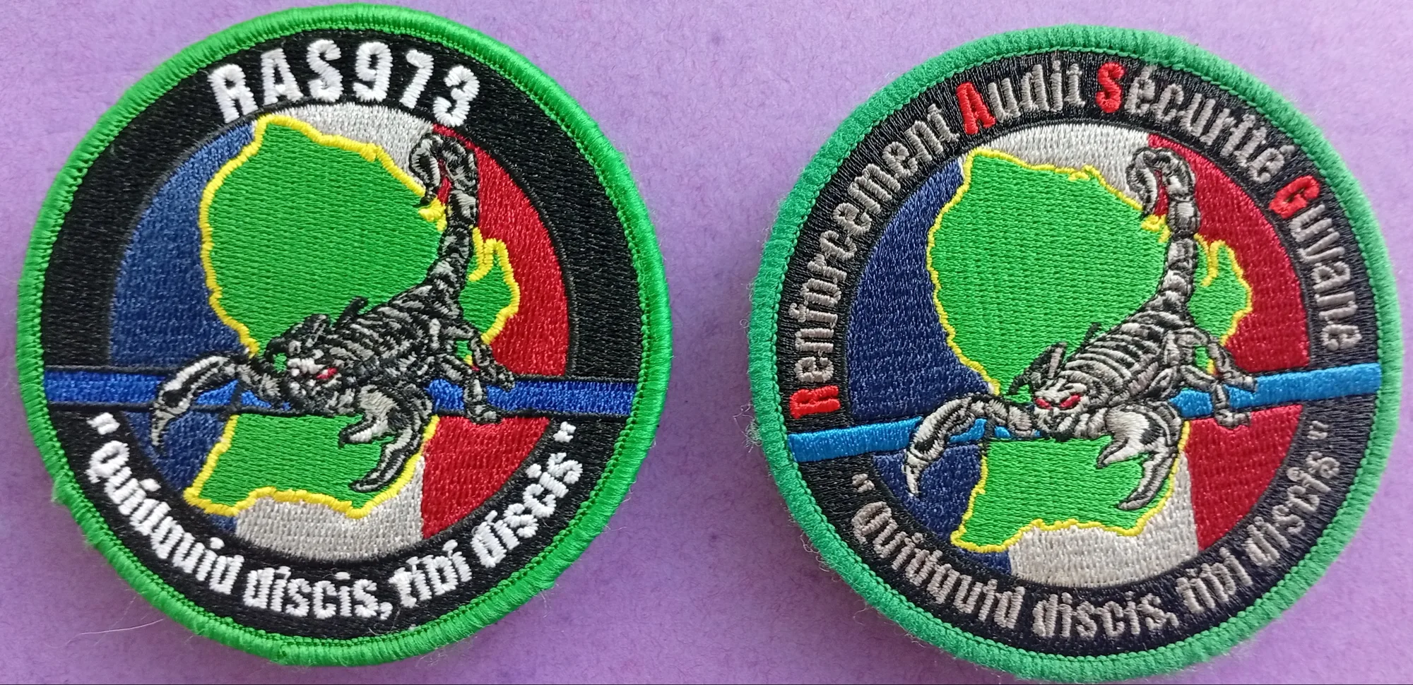  RENFORCEMENT AUDIT SÉCURITÉ GUYANE - Quidquid discis, tibi discis  - 2
