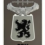 2ème régiment de hussards, patch d’épaule État Major 