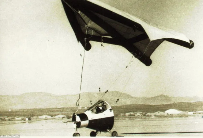 gemini Paraglider - 2