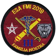 SSA : ESA Lyon Bron FMI 2019