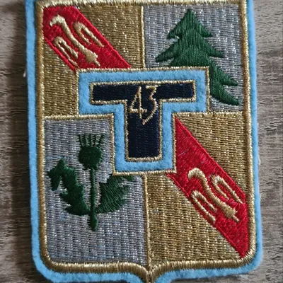 43e Régiment de Transmissions 