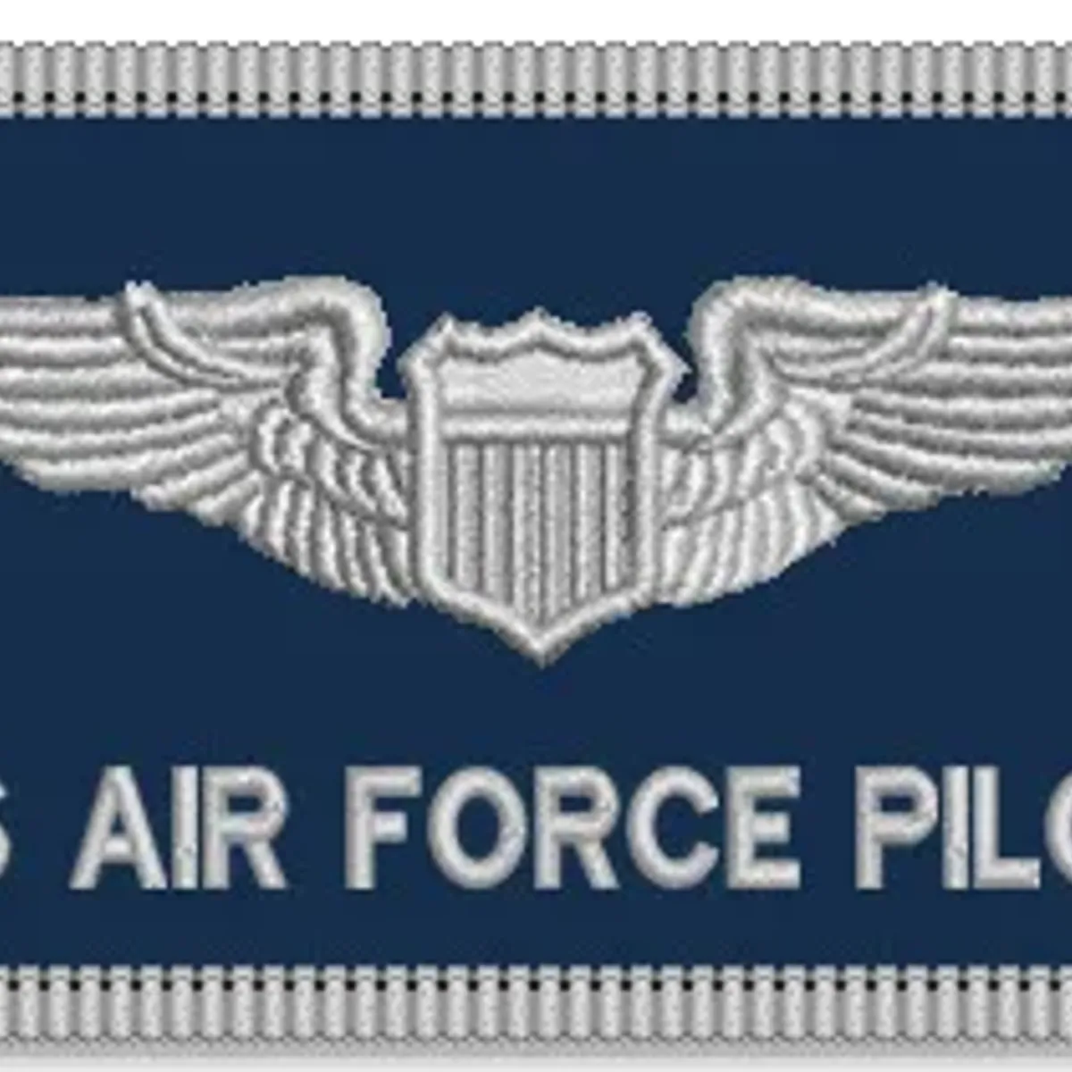 Air Force Pilot