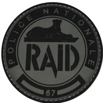 RAID 67