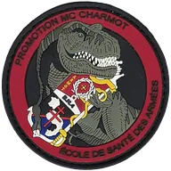 SSA : ESA Lyon Bron Promotion 2019 CHARMOT V2