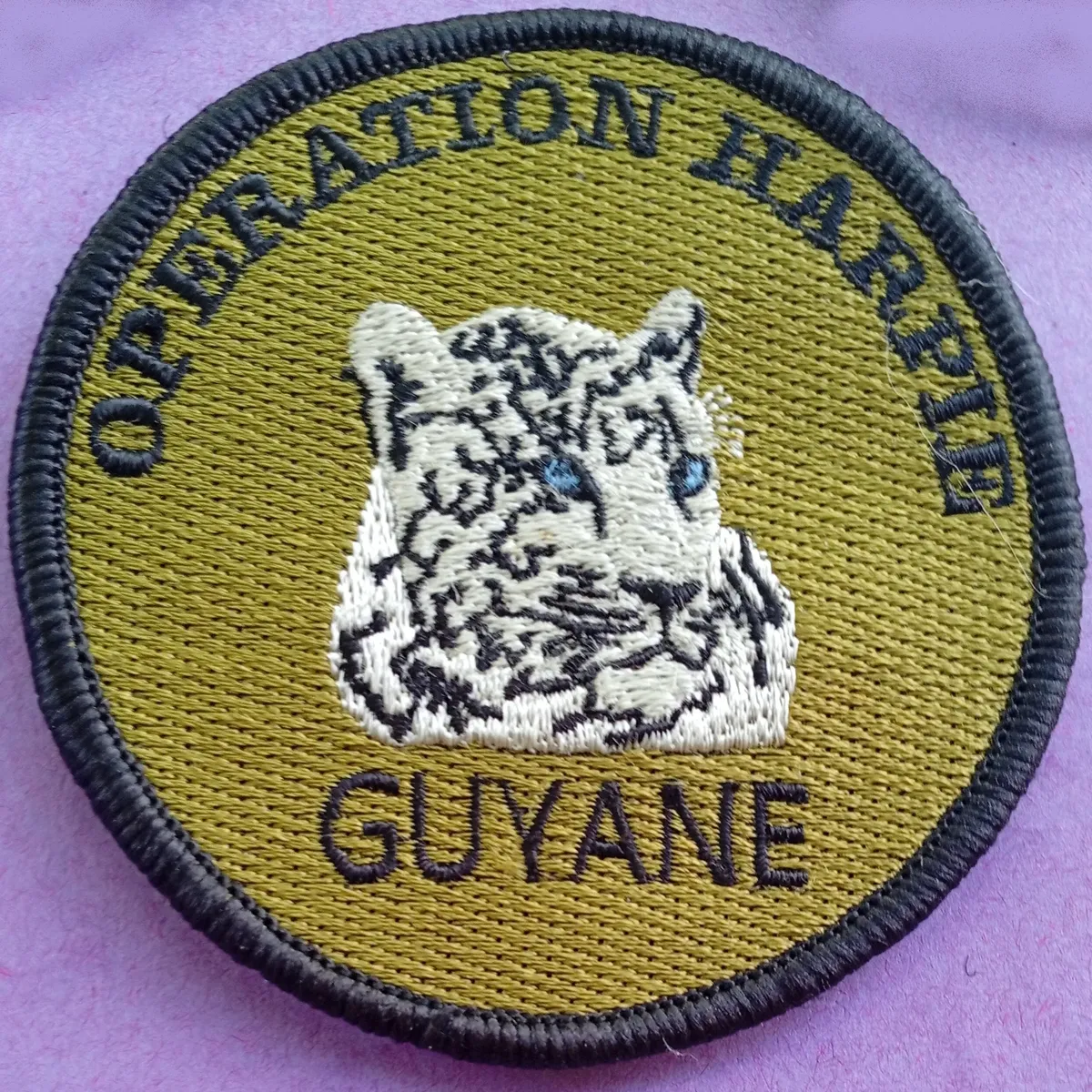 Opération Harpie - Guyane 