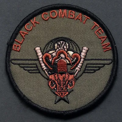 1er RCP, 3e Cie, Black combat team, Afghanistan 2011