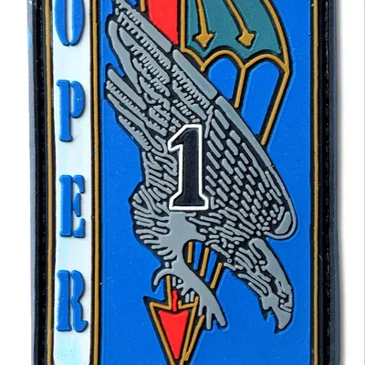 13e RDP - 1er escadron - OPER