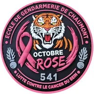 Ecole de Gendarmerie Chaumont - 541° Promotion -Octobre rose