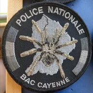 BAC - Cayenne 