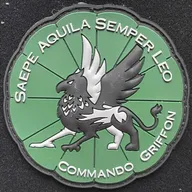 13e RDP - 3ème Escadron - Commando Griffon