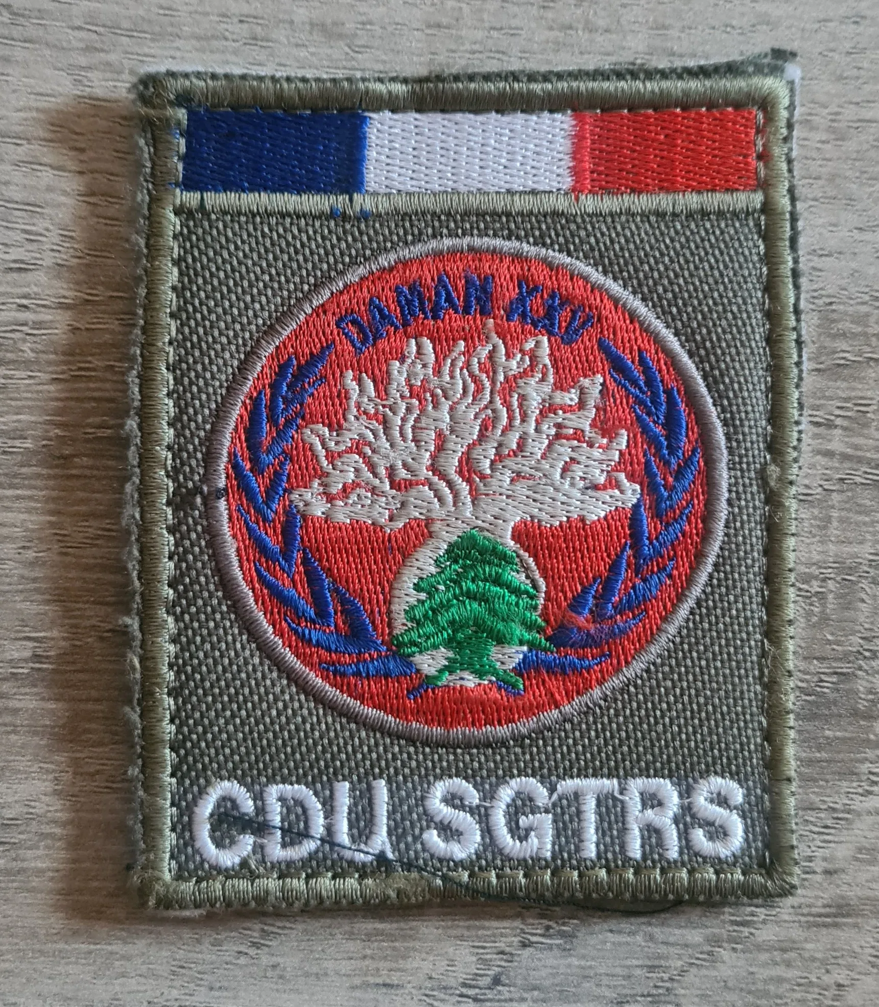DAMAN XXV / Transmissions / CDU SGTRS