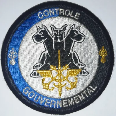 Contrôle gouvernemental