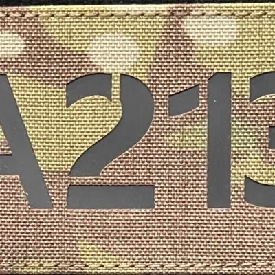 13e RDP - 2e escadron A213