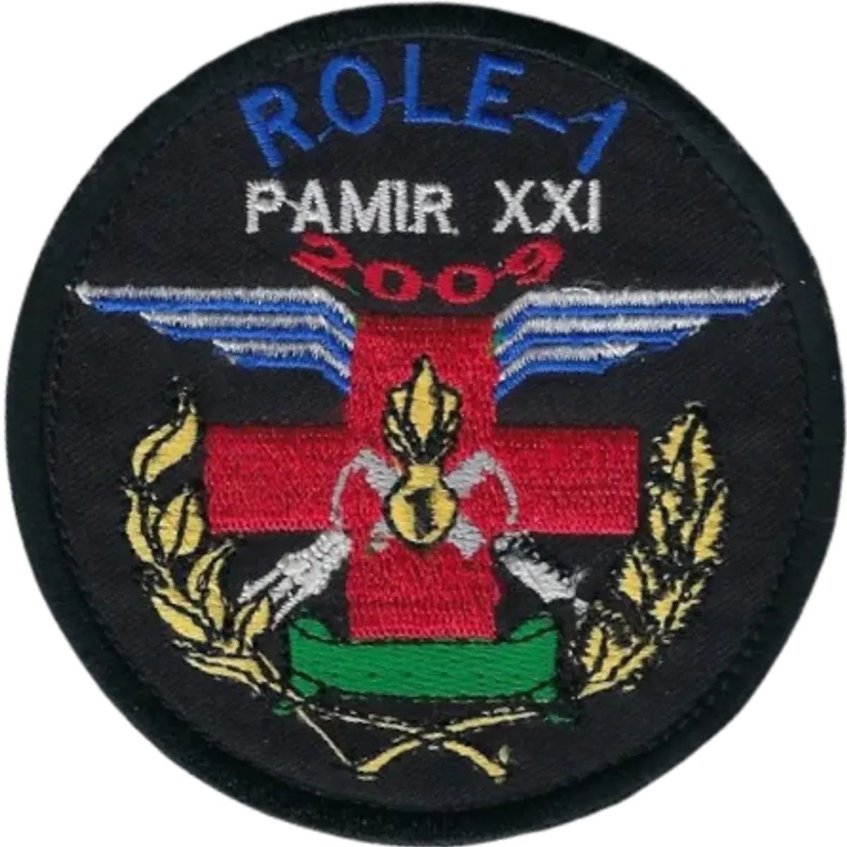 SSA : Role 1 Mandat XXI 2009