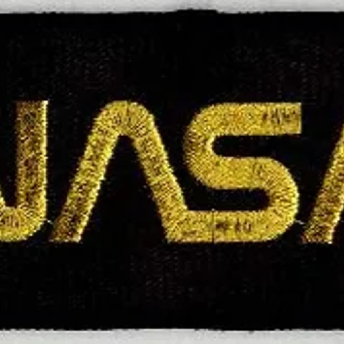 NASA Worm