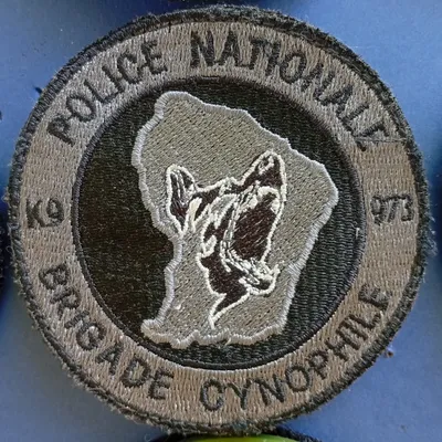 K9 - 973 - Brigade Cynophile