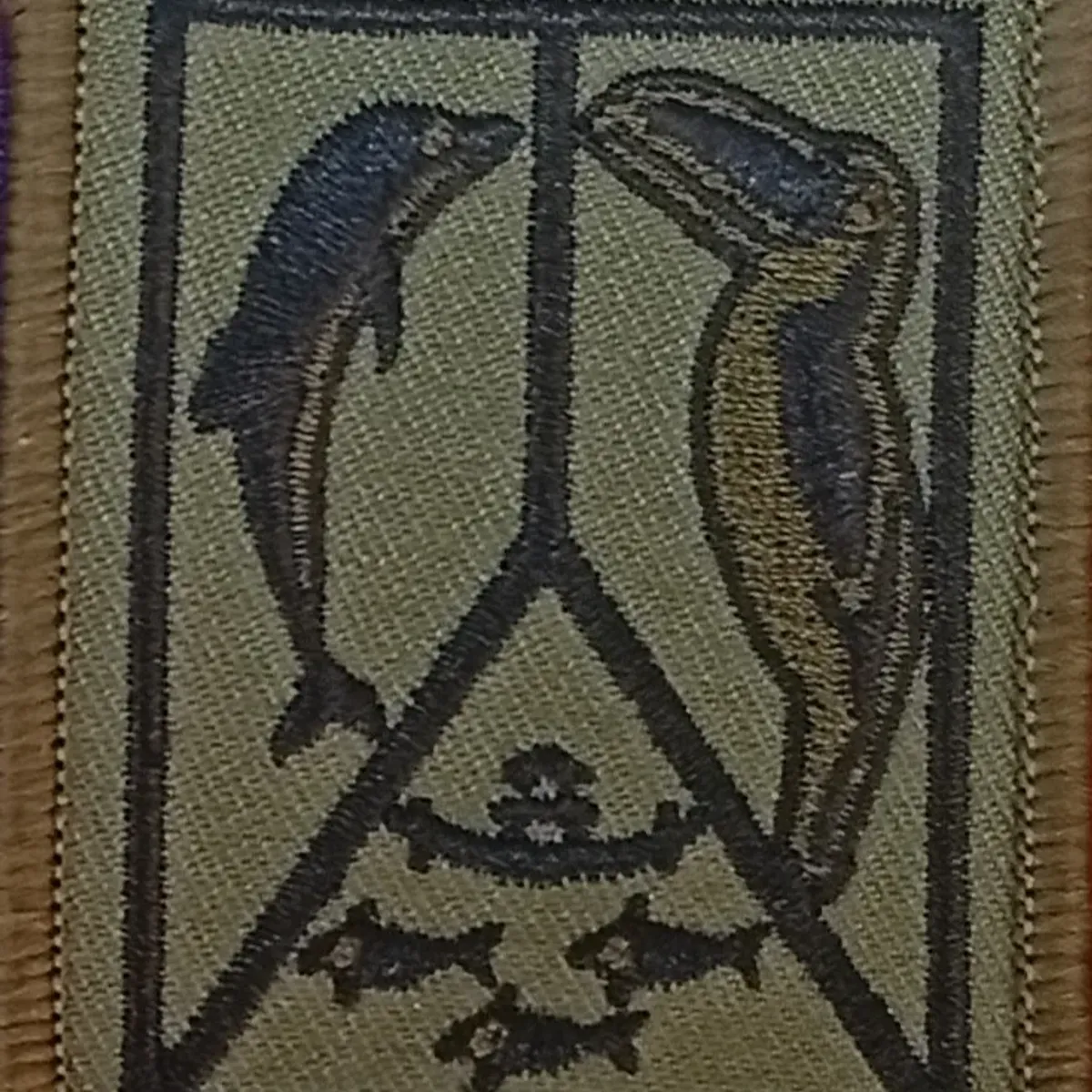 Forces Armées en Guyane