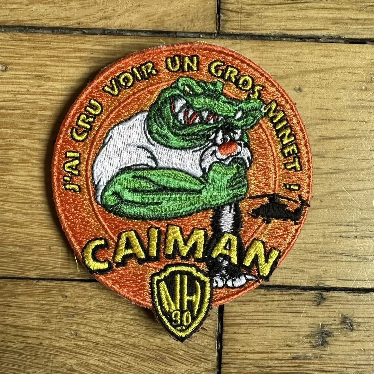 NH90 TTH - J'ai cru voir un gros minet !