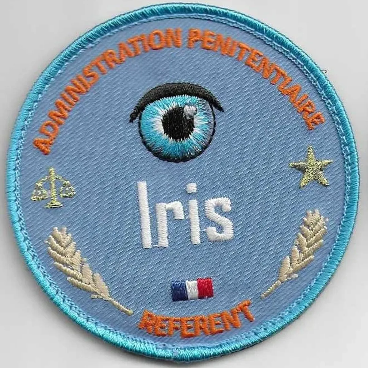 Référent logiciel IRIS