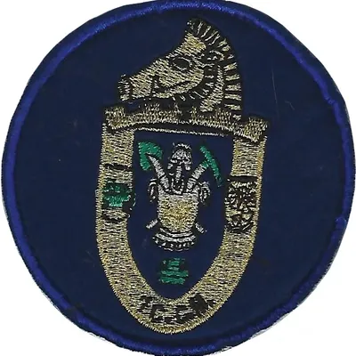 3e Régiment du Génie - 1er Compagnie de Combat du Génie - 1CCG 